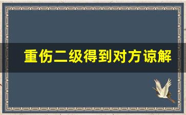 重伤二级得到对方谅解书 判几年_致人重伤二级判决案倒